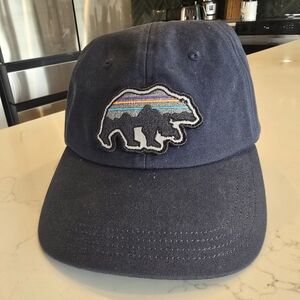 Patagonia Blue Organic Cotton Cap